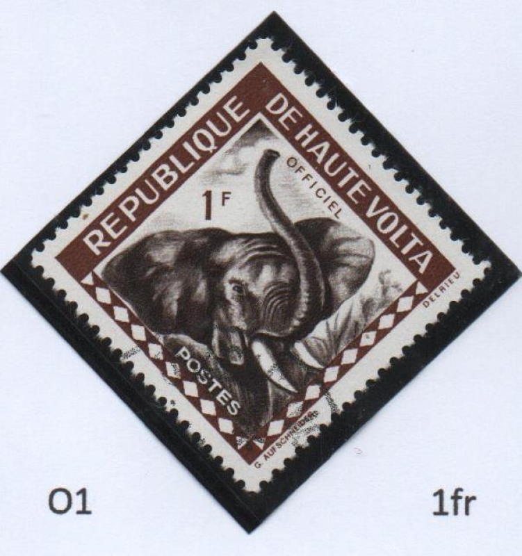 Elefante