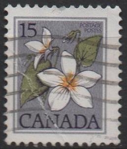 Violeta d' Canada