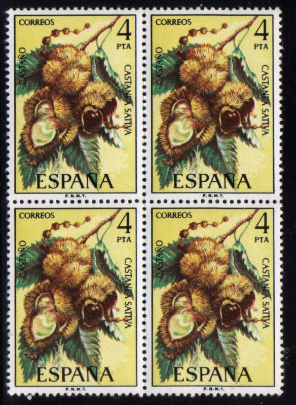 1975 B4 Flora: castaño Edifil 2257