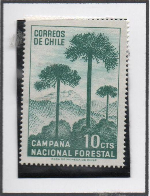 Campaña nacional Forestal