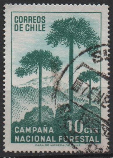 Campaña nacional Forestal