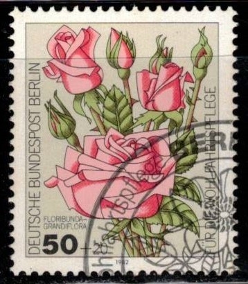 Sellos de bienestar: Rosas de jardín.