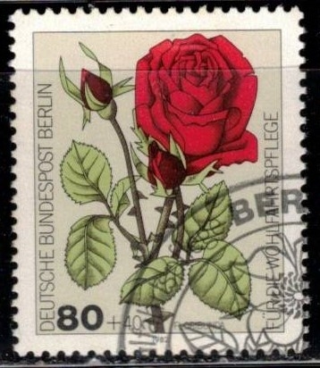 Sellos de bienestar: Rosas de jardín.