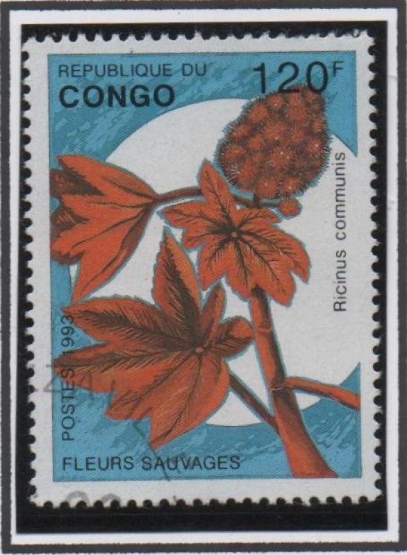 Ricinus Communis