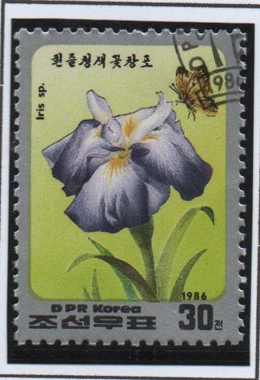 Flores. Iris violeta