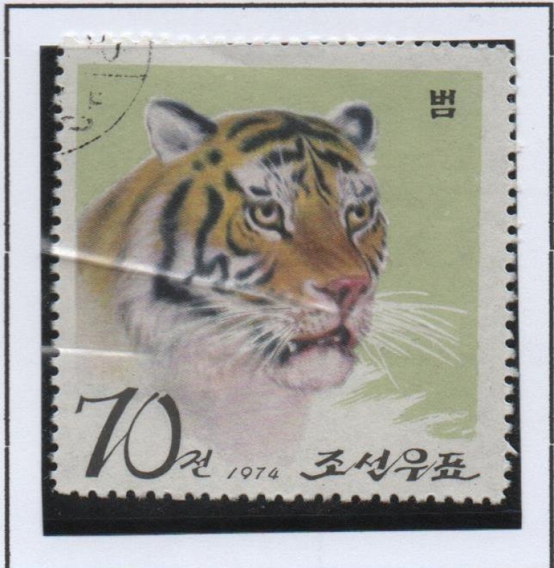 Pyongyang Zoo: Tigre Corano