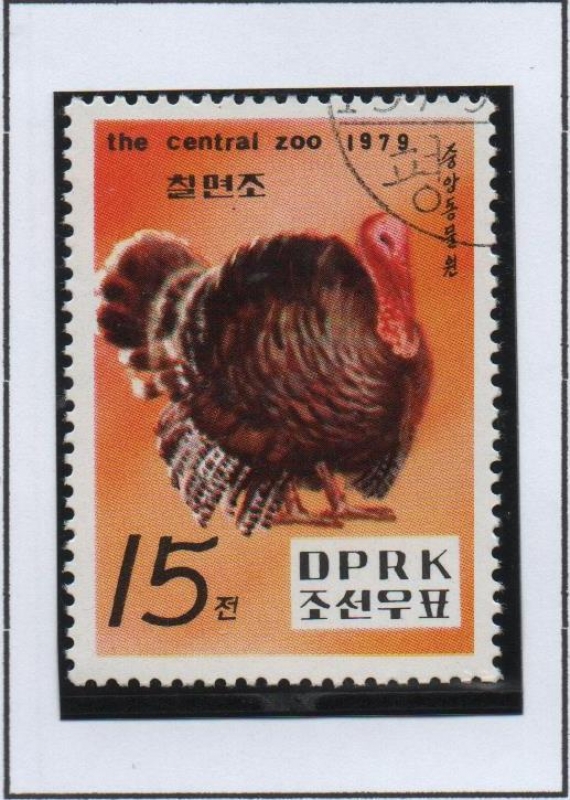 Pyongyang Zoo: Pavo