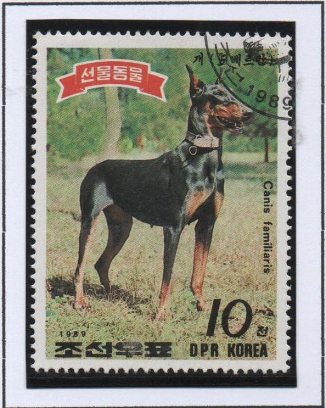 Dobermann Pinscher