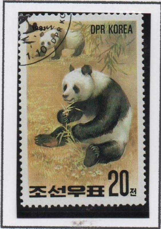 Oso Panda