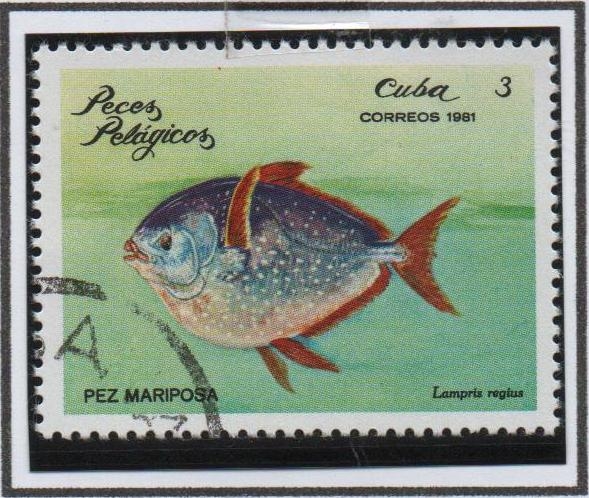 Peces. Mariposa