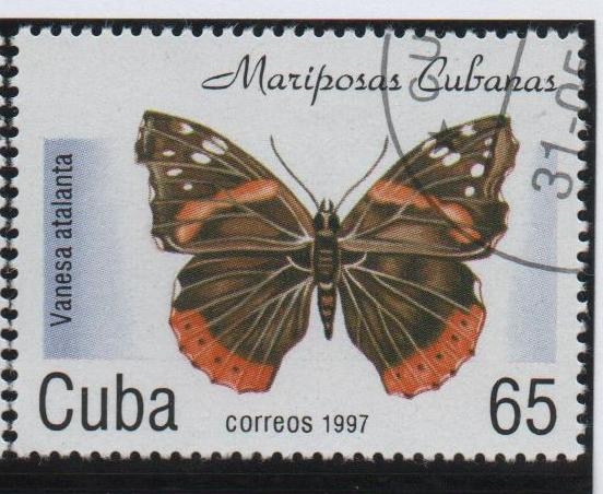 Mariposas: Vanesa atalanta