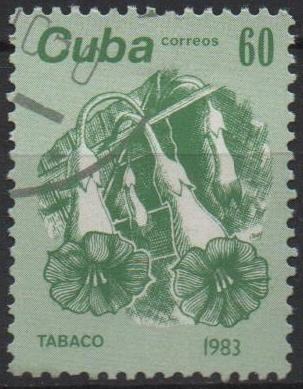 Flores: Tabaco