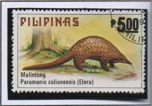 animales Filipinos: Oso Hormiguero