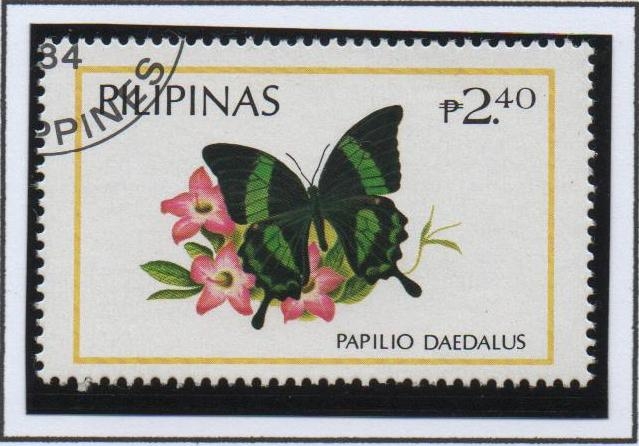 Mariposas: Daedalus Papilio