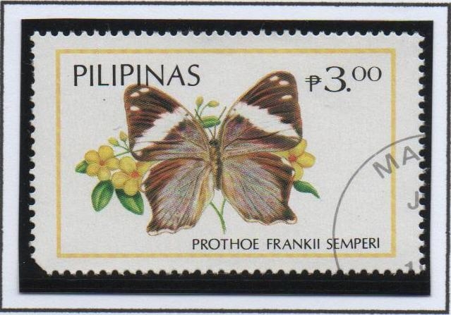 Mariposas: Prothoe Frankii Semperi