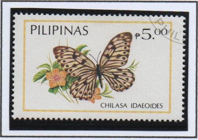 Mariposas: Idaeoides Chilasa