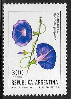 Flores - Campanilla