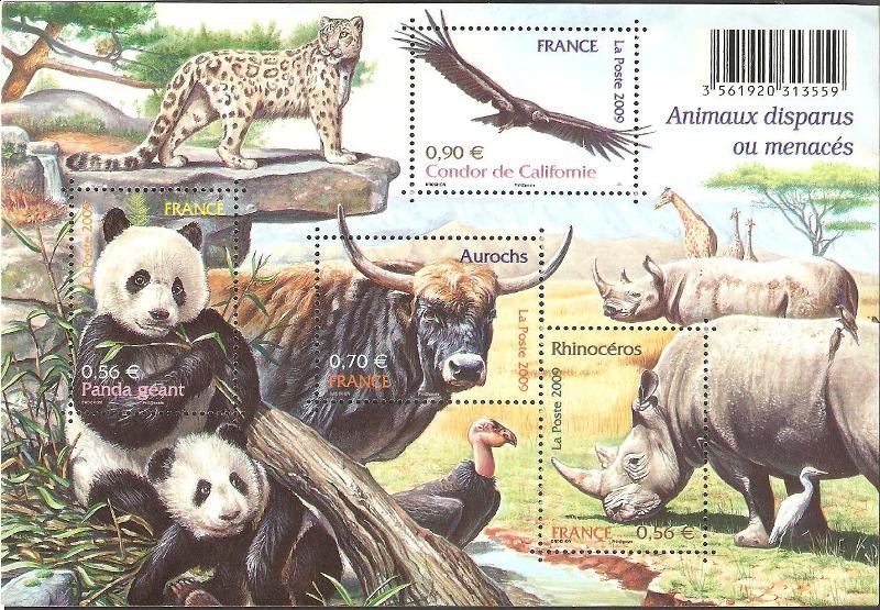 H.B. animales desaparecidos o amenazados