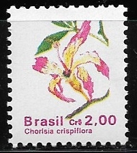 Flora Brasilera = Chorisia crispiflora