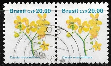 Flora Brasilera = Cassia macranthera