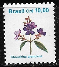 Flora Brasilera = Tibouchina granulosa