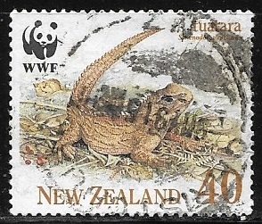 Tuatara