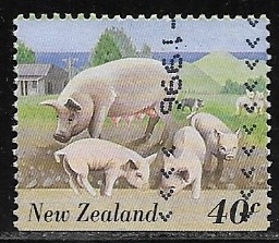 Domestic Pig (Sus scrofa domestica