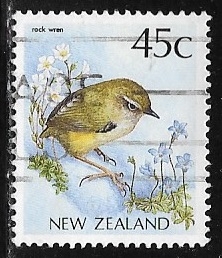 Aves - Rock Wren