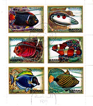 PECES TROPICALES 