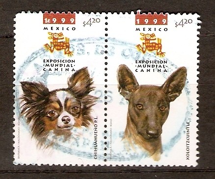 EXPOSICIÓN  CANINA