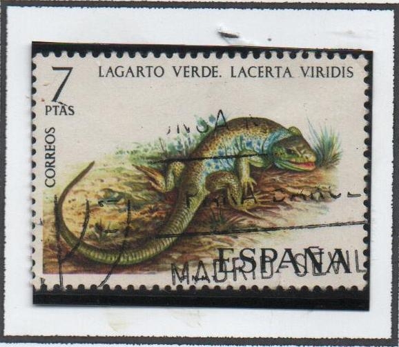 Lagarto Verde