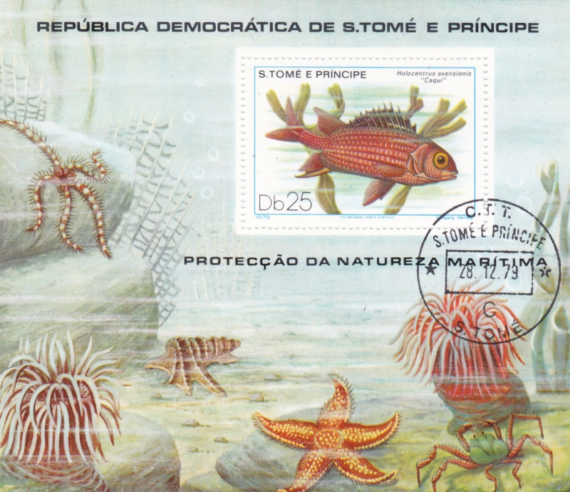 PROTECCIÓN DE LA NATURALEZA MARINA 