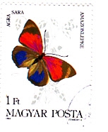 Mariposa