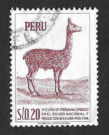 474 - Vicuña Peruana