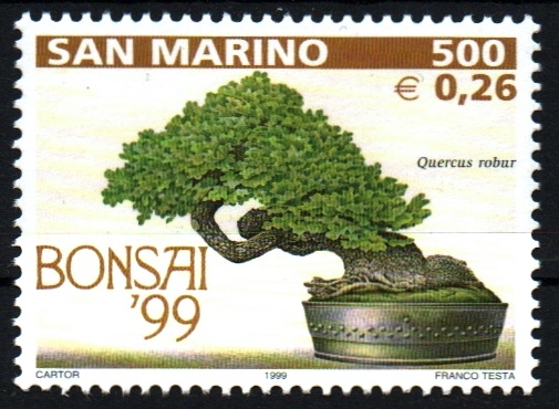 Expo Bonsai'99