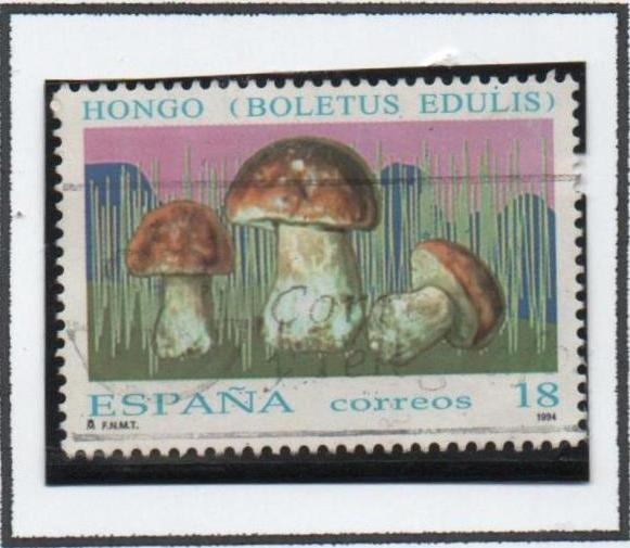 Micología: Boletus Eduni