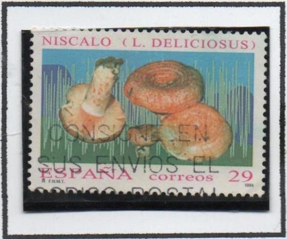 Micología: Niscalo