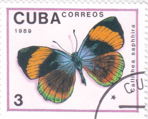 Mariposa