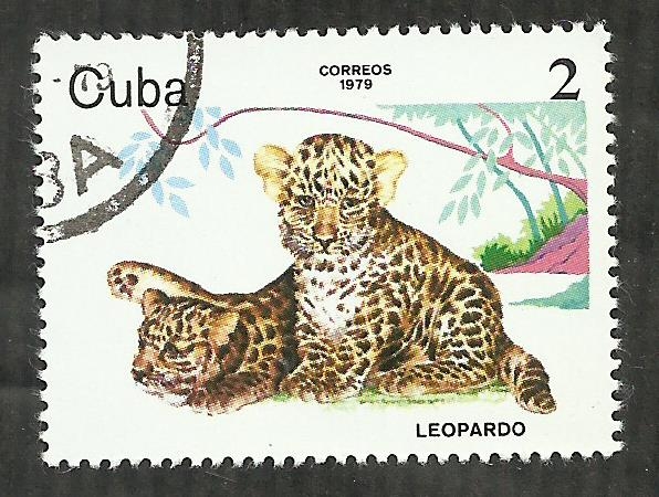 Leopardo