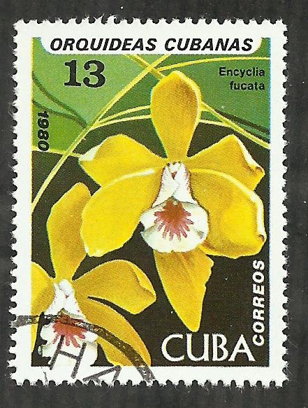 Encyclia Fucata