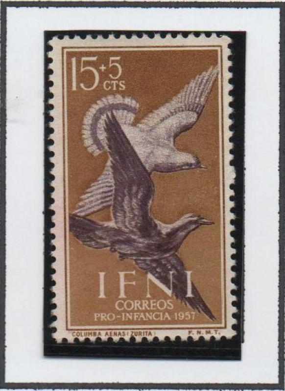 Columba Livia