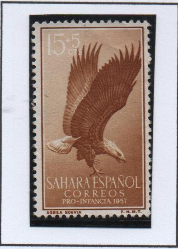 Aguila pomarina