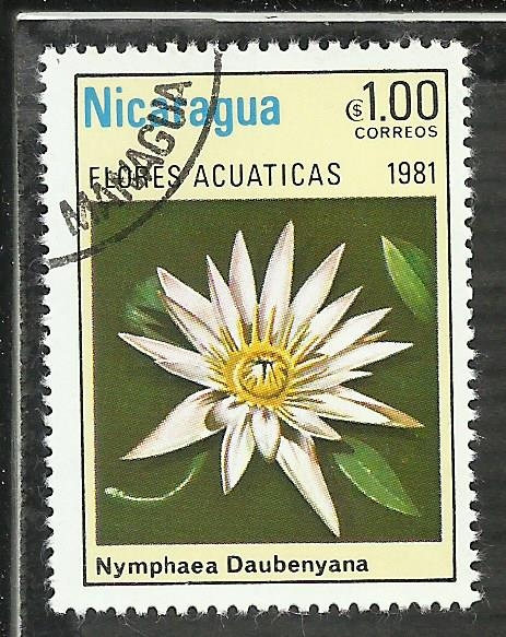 Nymphaea Daubenyana