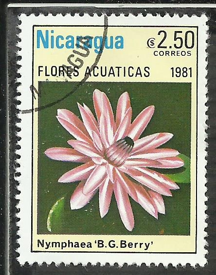 Nymphaea B.G.Berry