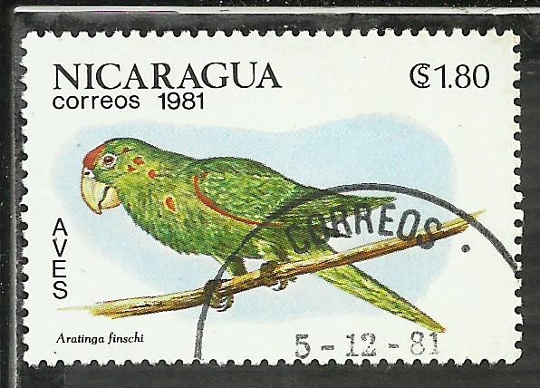 Aratinga Finschi