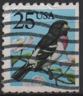 Grosbeak