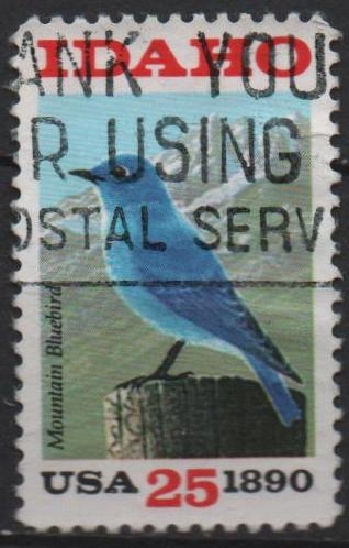 Mountain Bluebird Sawtooth