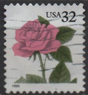 Rosa