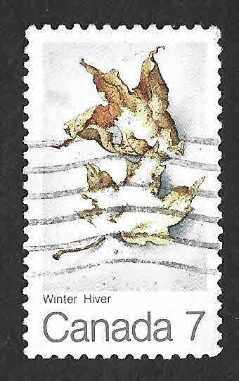 538 - Invierno