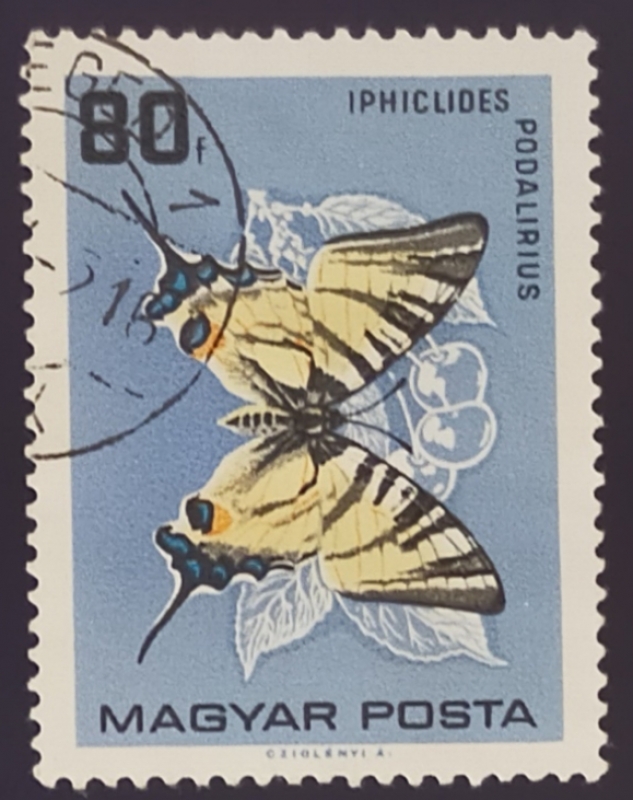 Mariposas